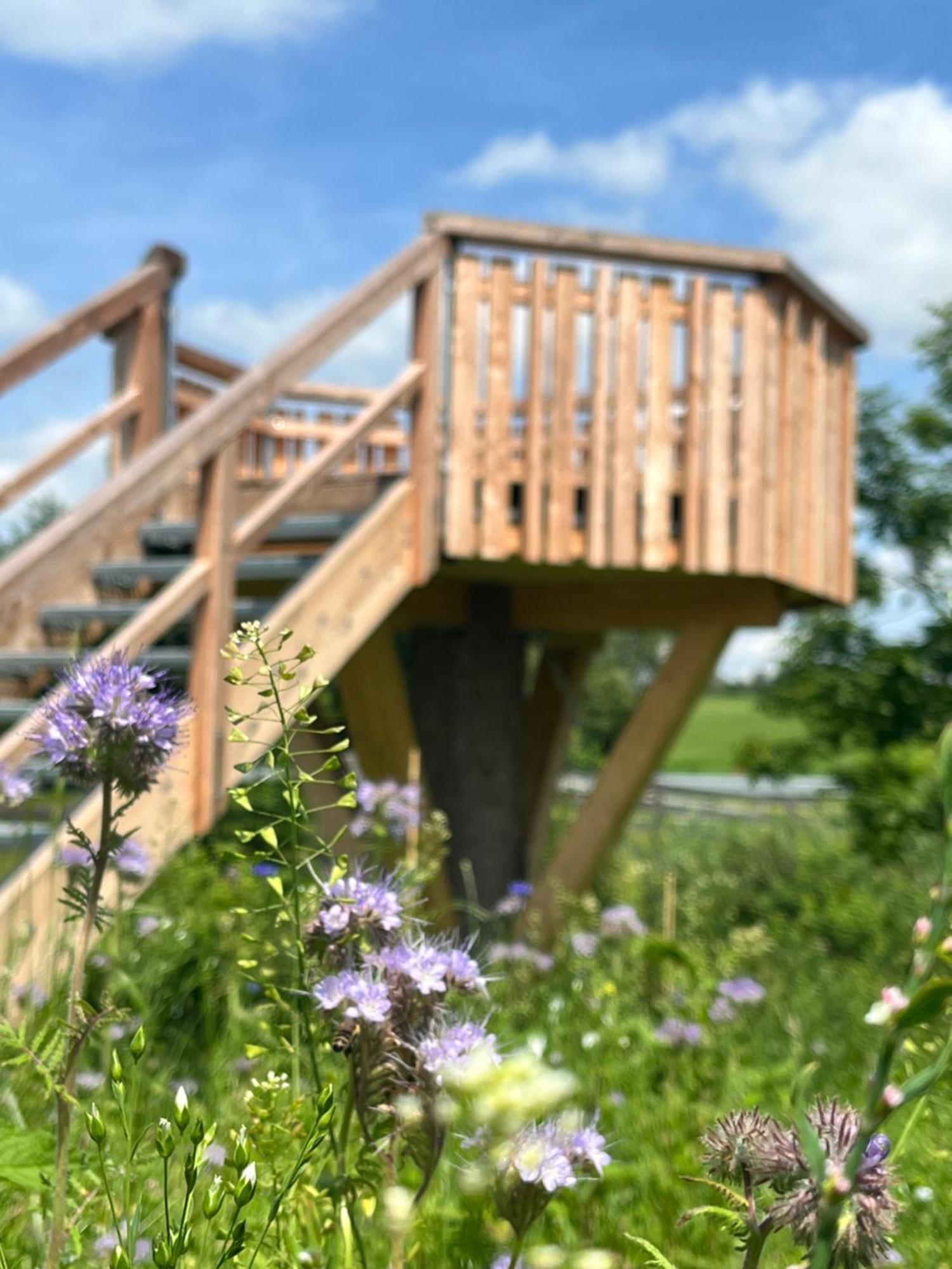 Hotel Wald Ist Zukunft Bernbeuren Exterior foto