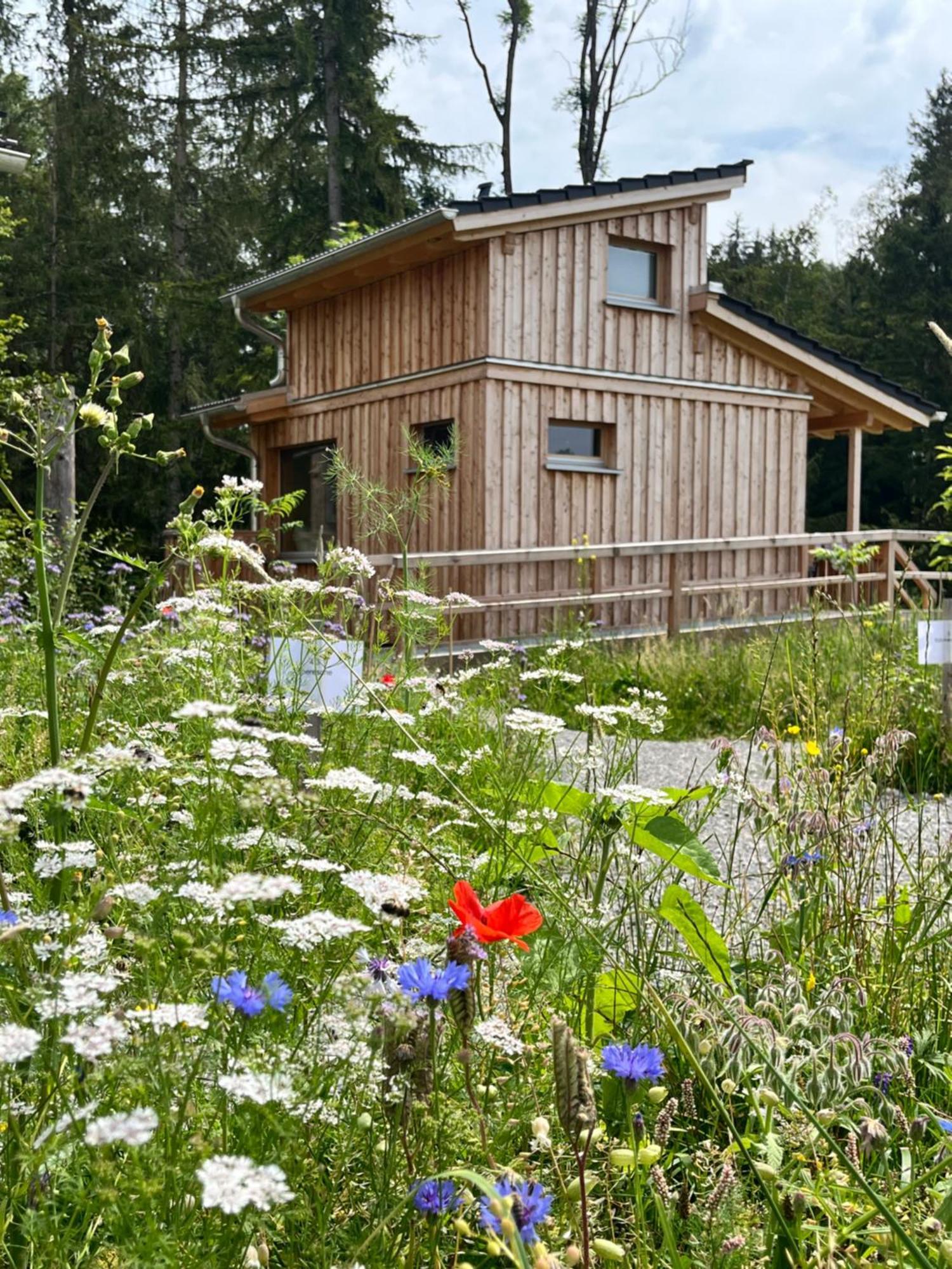 Hotel Wald Ist Zukunft Bernbeuren Exterior foto
