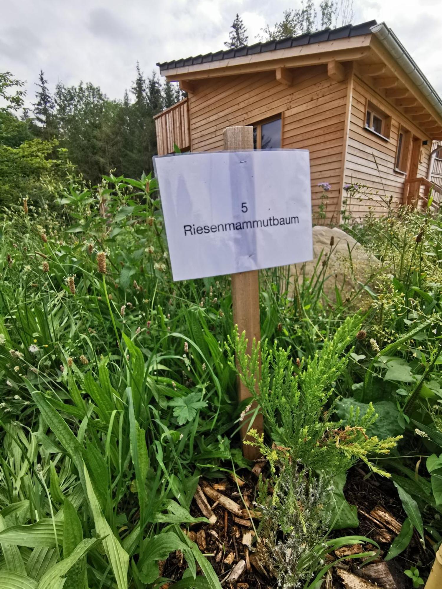 Hotel Wald Ist Zukunft Bernbeuren Exterior foto