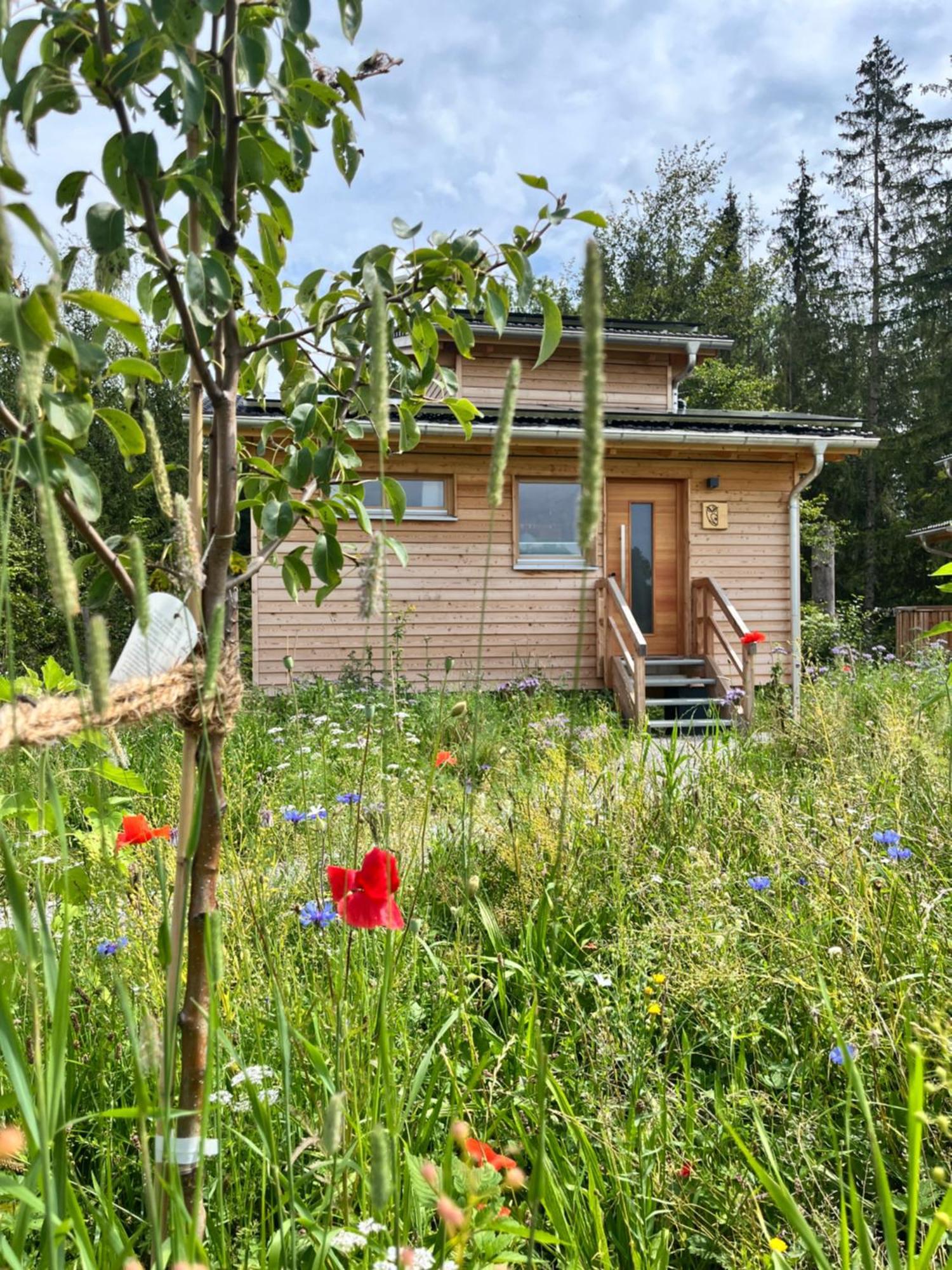 Hotel Wald Ist Zukunft Bernbeuren Exterior foto