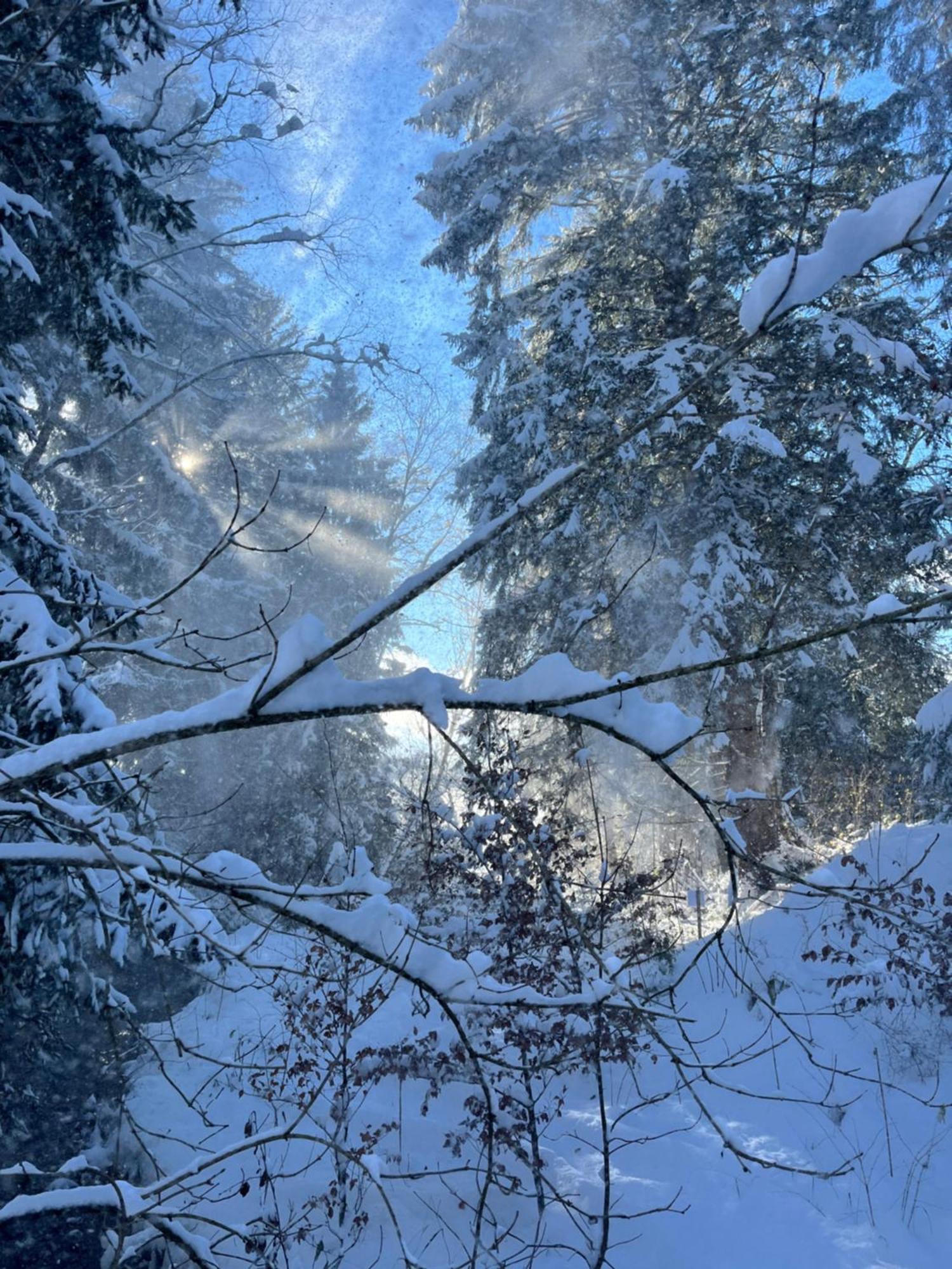 Hotel Wald Ist Zukunft Bernbeuren Exterior foto